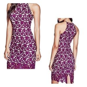 Elegant Purple Lace Dress